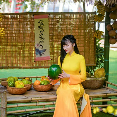 梅林科学上网：技术自由与法律边界的深度博弈